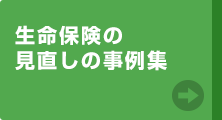 保険の見直し　実例集